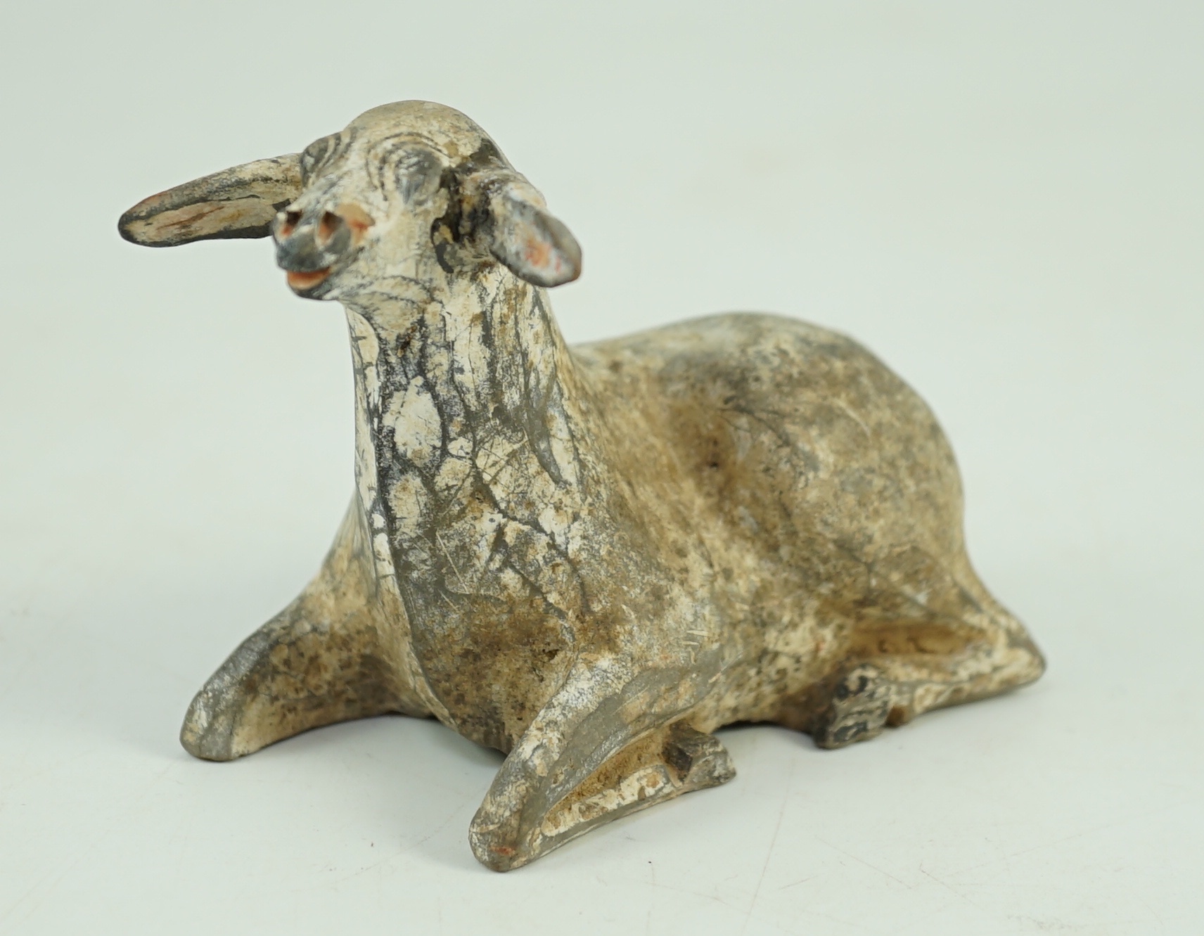 A Chinese painted grey pottery model of a recumbent sheep, Han dynasty, 10.2 cm long, One ear re-glued